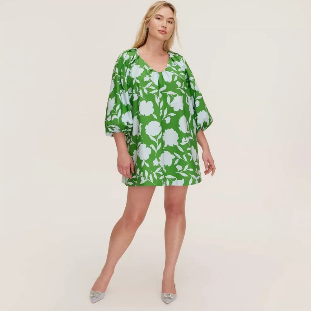 L - Kate Spade Green/blue poplin classic rose dress
